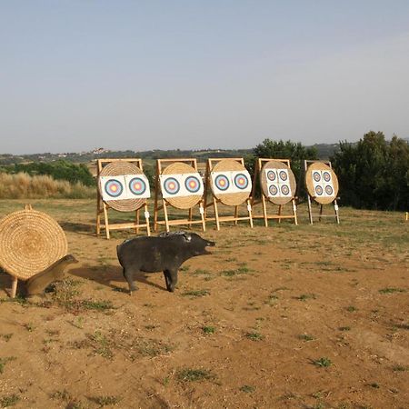 פונסאקו Agriturismo San Martino מראה חיצוני תמונה